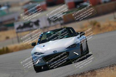 media/Mar-08-2025-Extreme Speed (Sat) [[4abb97269e]]/Blue/Turns 2  and  4 (Session 2)/